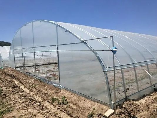 H Secção Construção de Estufas de Aço Personalizadas para as Necessidades do Mercado dos EUA