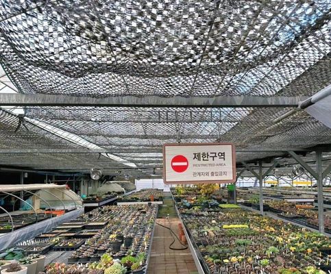 Customização Arco Túnel Estufas Sol Estufas Para Capsicum Agricultura