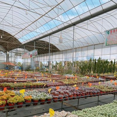 Estufas com sombra 30 dias devolução reembolsos agora em oferta de tempo limitado
