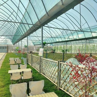 Estufas para o cultivo da hidroponia US 20/m2 Moeda US