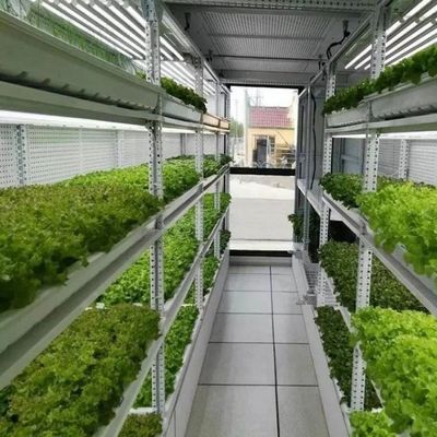 Sistema de cultivo hidropónico vertical de 40 pés de contêiner