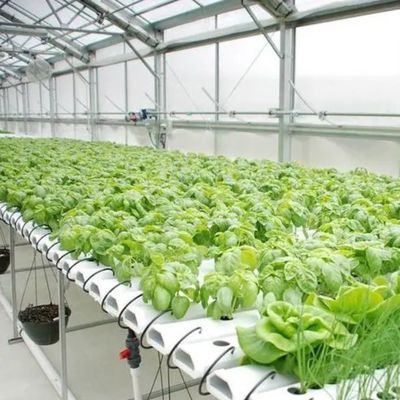 Filtro de controle de umidade multi-span Estufas para vegetais Otimizar o crescimento dos vegetais
