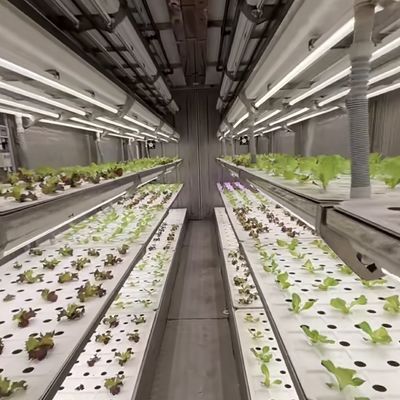 Material de cobertura de aço Container de carregamento Estufas para vegetais Personalização personalizada
