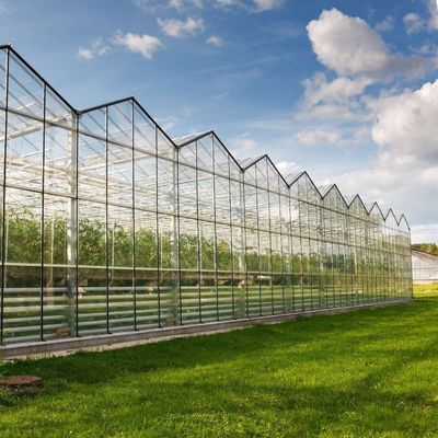 Estufas de vidro temperado de camada dupla e oco para sistema de cultivo hidropónico