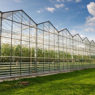 Estufas de vidro com sistema de cultivo hidropónico