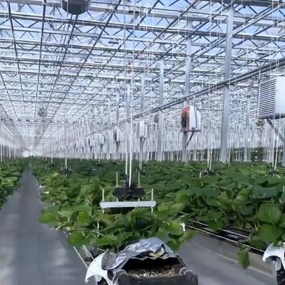 Hidroponia multi-span com boa transmissão de luz e opções personalizáveis