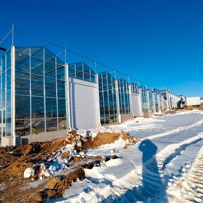 Origem Sistema hidropónico de estufa de vidro para o cultivo de flores US 20/m2