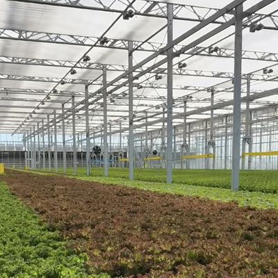 Sistema de hidroponia de estufa com personalização e peso bruto do pacote de 100.000 kg