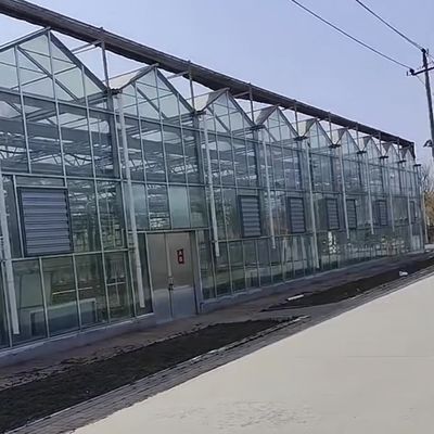 Estufas agrícolas de vidro grandes e de estilo Venlo com sistema de controlo automático