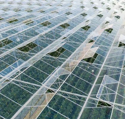 Método de cultivo hidropônico aquecimento comercial jardim estufa de vidro para plantas