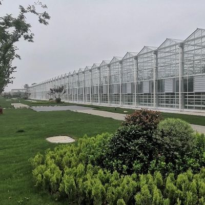 Estrutura de aço Irrigação por gotejamento Estufas de vidro para plantas Telhado Forma de telhado de tipo
