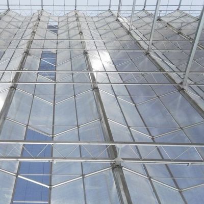 Estufa de vidro para o cultivo de flores Pagamento inicial e custo de envio acessível