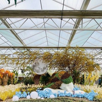 Estufa de vidro de camada única para cultivo de vegetais Melhora a eficiência da sua agricultura