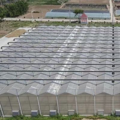 JX-A006 Estufas de policarbonato de grande porte para uso comercial e agrícola