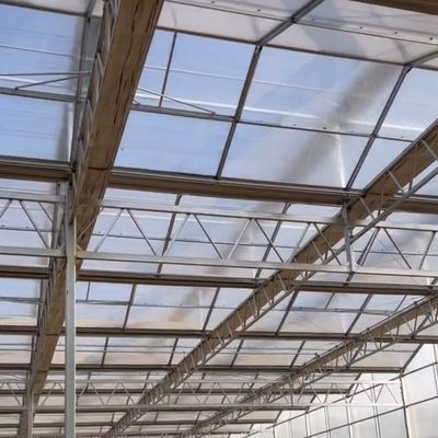 JX-A006 Estufas de policarbonato de grande porte para uso comercial e agrícola