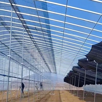 Grande galpão de filme de camada única Estufa para cultivo durante todo o ano Moeda EUA