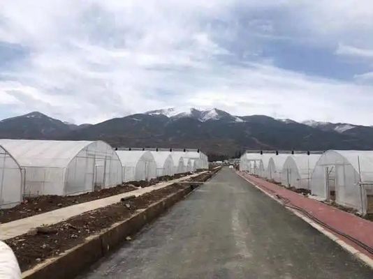 20.000kg Embalagem Peso Bruto Capa de película Tubo de água Hidroponia Solução de estufa