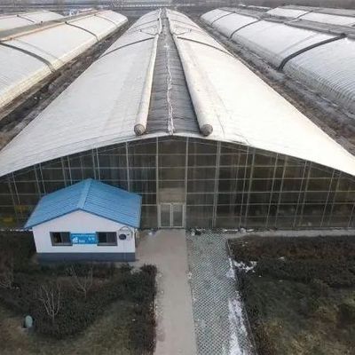 PE Film Plástico Agricultura Solução de Estufas Pacote Tamanho 50,00cm * 60,00cm * 50,00cm