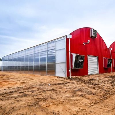 Origem Sistema de estufa ecológica com material de revestimento de filme 20.000 kg Peso bruto do pacote