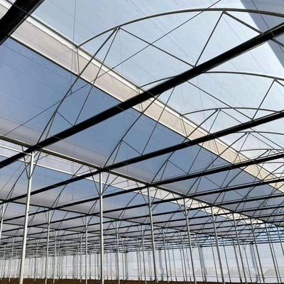 Origem Sistema de estufa ecológica com material de revestimento de filme 20.000 kg Peso bruto do pacote