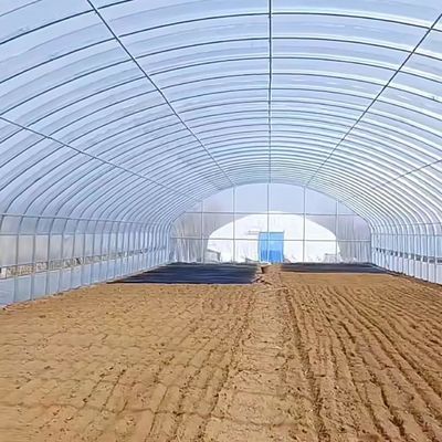 Polytunnel Túnel de plástico Single Span Estufas agrícolas para pedido personalizado