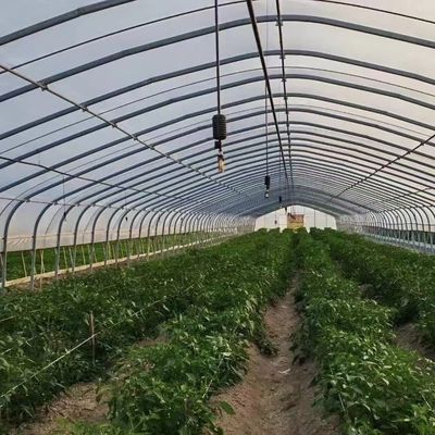 Polytunnel Túnel de plástico Single Span Estufas agrícolas para pedido personalizado