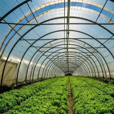 Polytunnel Túnel de plástico Single Span Estufas agrícolas para pedido personalizado
