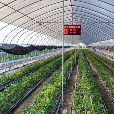 Polytunnel Túnel de plástico Single Span Estufas agrícolas para pedido personalizado