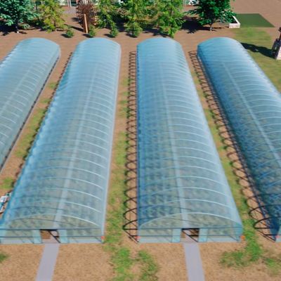 Polytunnel Túnel de plástico Single Span Estufas agrícolas para pedido personalizado