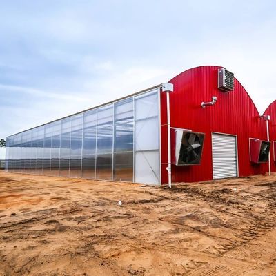 Irrigação por gotejamento Sistema ecológico de estufa Sobre o custo de envio e tempo de entrega estimado