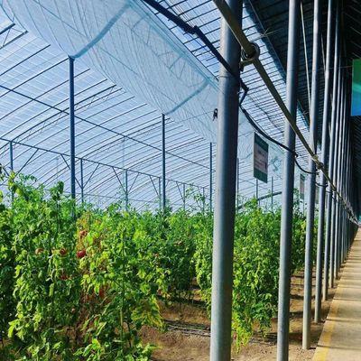 Irrigação por gotejamento Sistema ecológico de estufa Sobre o custo de envio e tempo de entrega estimado