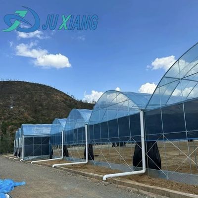 Custos de transporte de produtos agrícolas de plástico de múltiplos períodos de filmagem de túnel