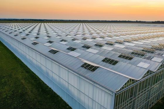 Custos de transporte de produtos agrícolas de plástico de múltiplos períodos de filmagem de túnel