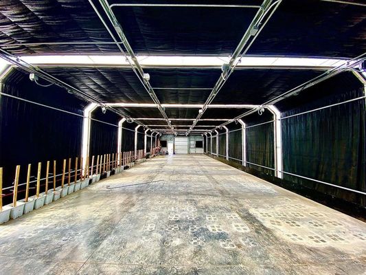 Custos de transporte de produtos agrícolas de plástico de múltiplos períodos de filmagem de túnel