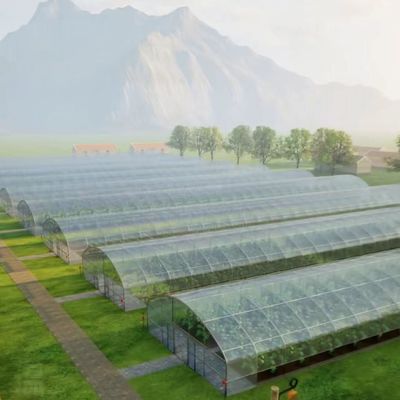 US 20/Piece Greenhouse vegetal com filme de plástico de túnel agrícola de comprimento único