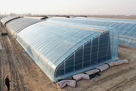 Tecnologia de dupla camada de filme plástico agrícola Hidropónica Estufas para aquicultura