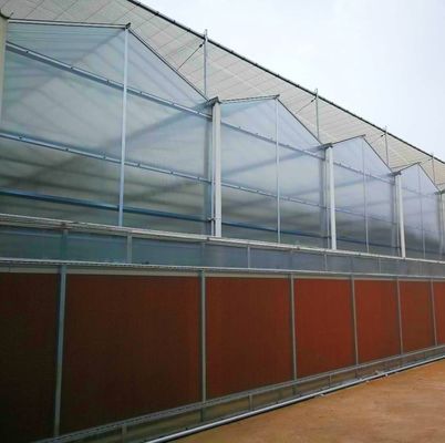 Filtro de túnel industrial Estufas multispan com tecnologia e materiais hidropônicos