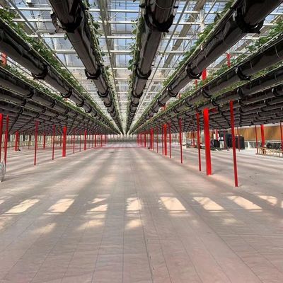 Filtro de túnel industrial Estufas multispan com tecnologia e materiais hidropônicos