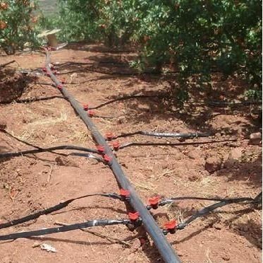 Filtro de túnel industrial Estufas multispan com tecnologia e materiais hidropônicos