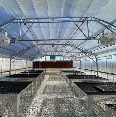 Filtro de túnel industrial Estufas multispan com tecnologia e materiais hidropônicos