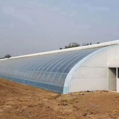Multi Span PVC Pipe Eco Greenhouse em Pacote Acessível Tamanho 50.00cm * 60.00cm * 50.00cm