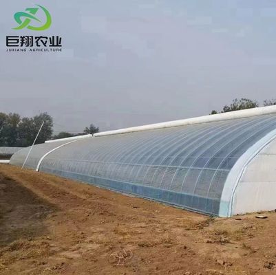 20GP 40GP 40HC Materiais de construção de aço e plástico Estufas para plantas/ cogumelos medicinais
