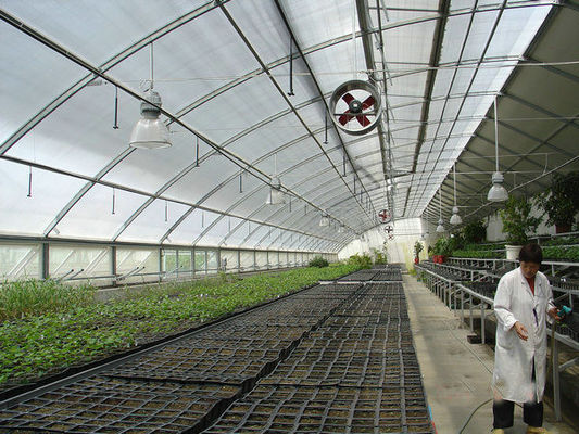 20.000kg Pacote Peso Bruto Tomate Multi-Span Pepino Estufas