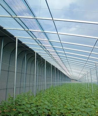 20.000kg Pacote Peso Bruto Tomate Multi-Span Pepino Estufas