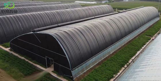 20.000kg Pacote Peso Bruto Tomate Multi-Span Pepino Estufas