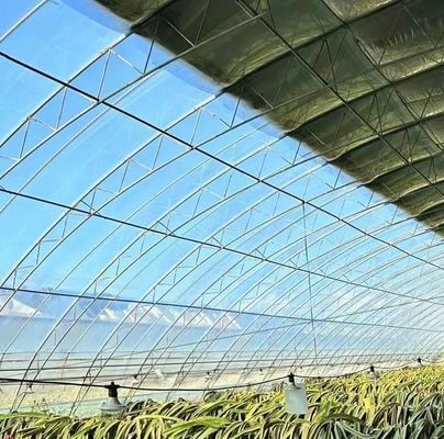 Estufas de folhas de plástico para o cultivo de sementes e plantas medicinais/pilhas
