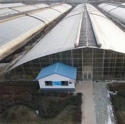 Estufas de folhas de plástico para o cultivo de sementes e plantas medicinais/pilhas