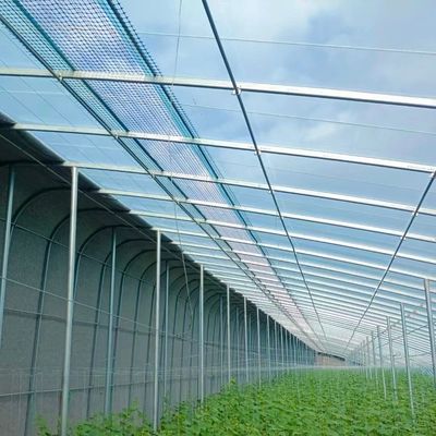 US Agricultural Multi Span Tunnel Estufas de plástico com sistema hidropónico