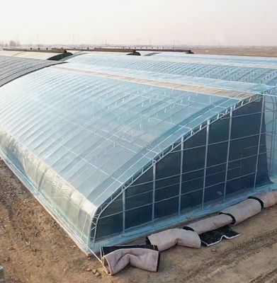 US Agricultural Multi Span Tunnel Estufas de plástico com sistema hidropónico