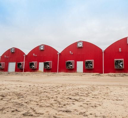 US Agricultural Multi Span Tunnel Estufas de plástico com sistema hidropónico